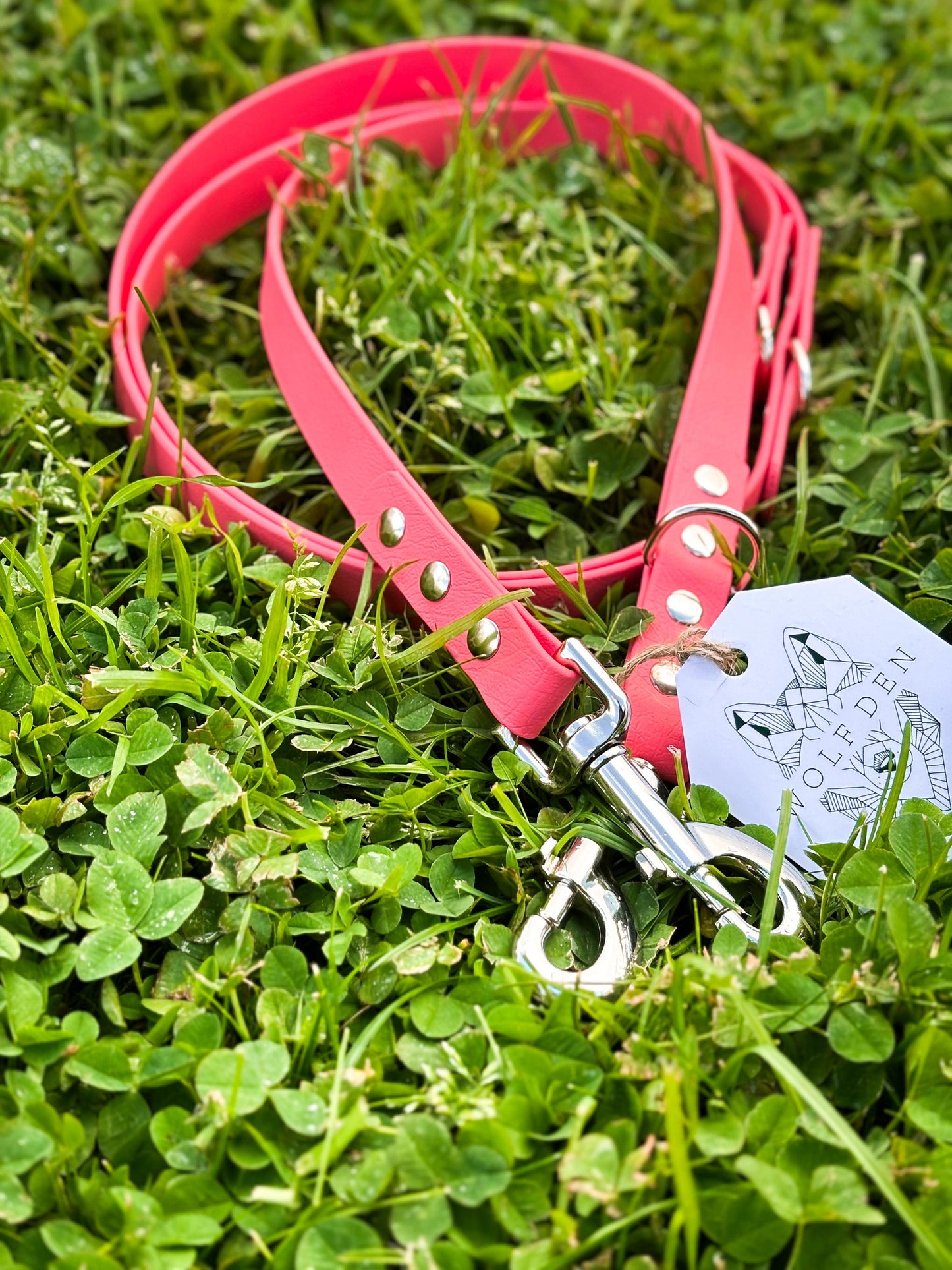 Double Ended BioThane Training Lead