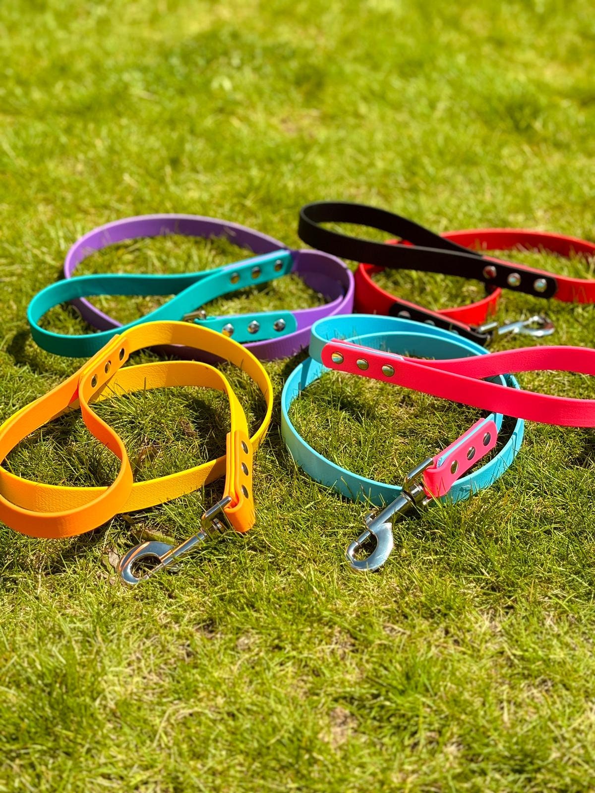 BioThane Two Tone Lead