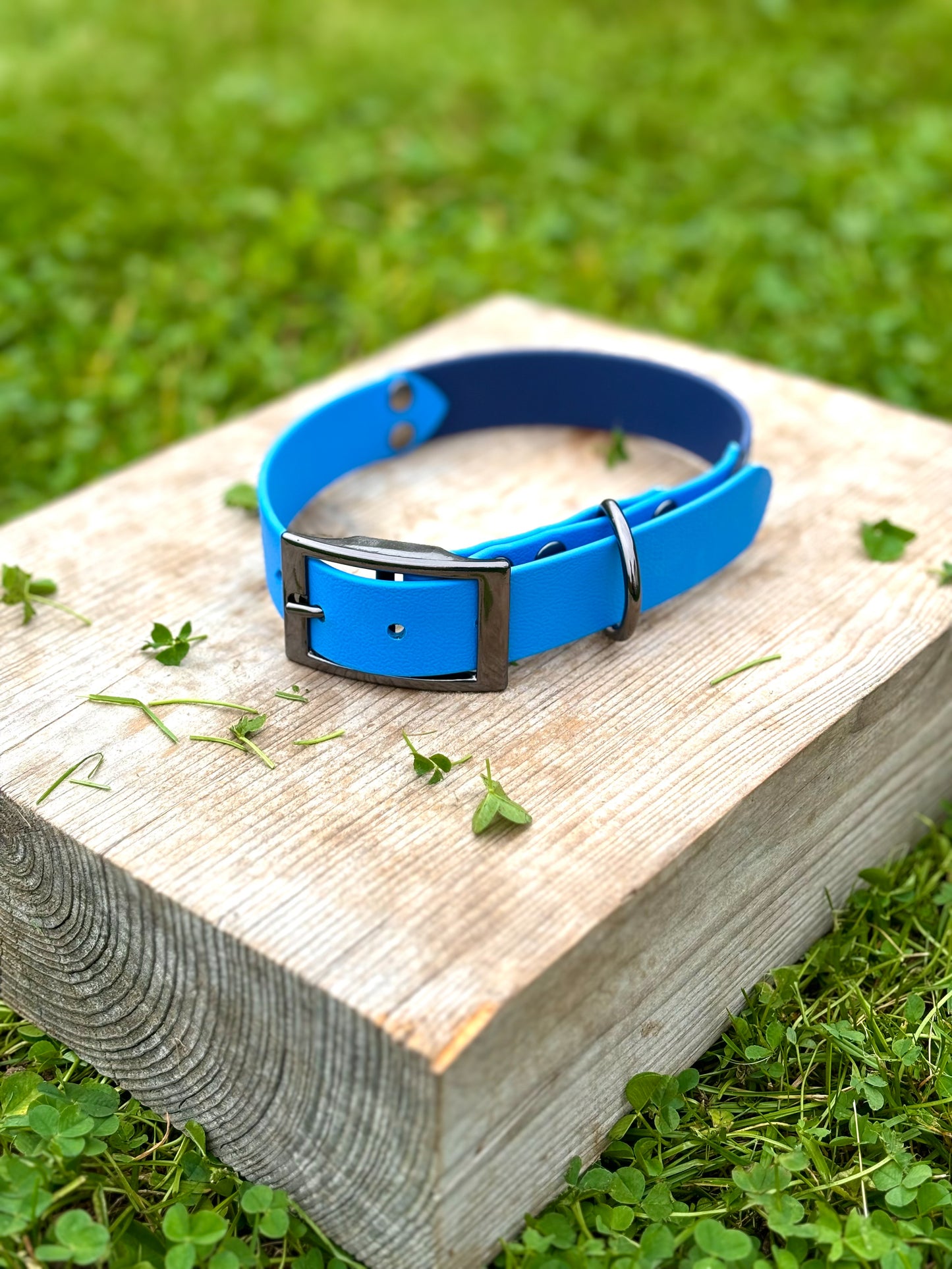 BioThane Belt Buckle Collar