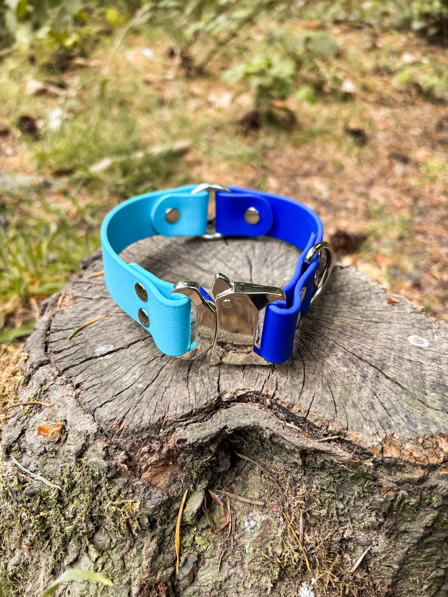 BioThane Two Tone Collar
