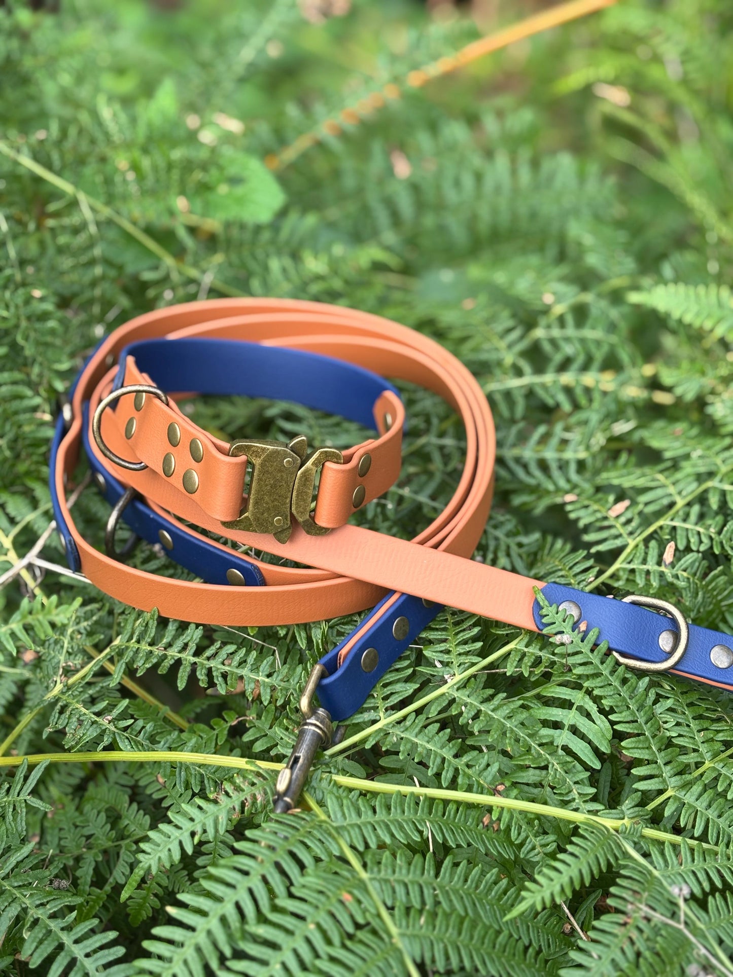 BioThane Two Tone Double Ended Training Lead