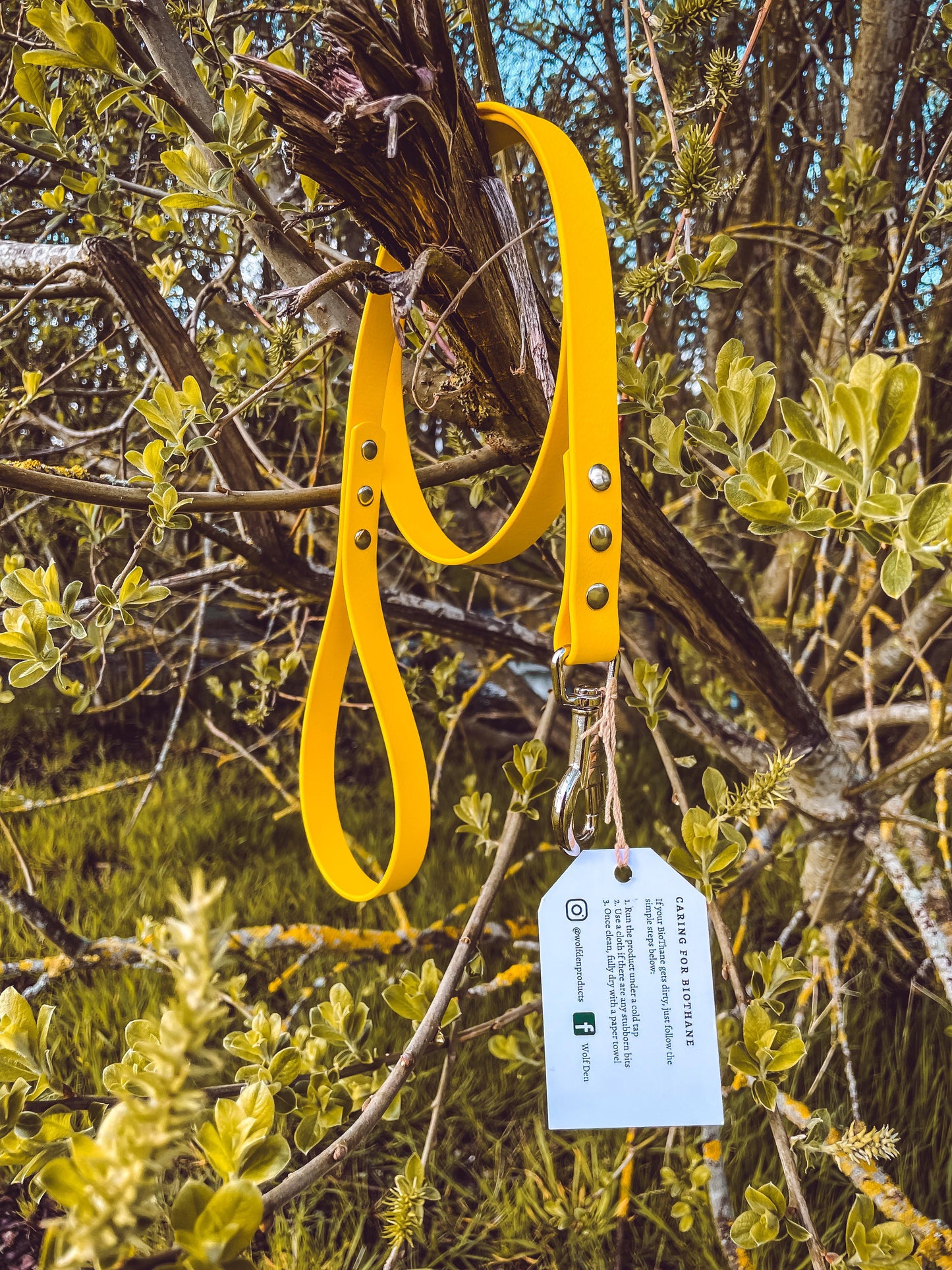 Standard BioThane Dog Lead