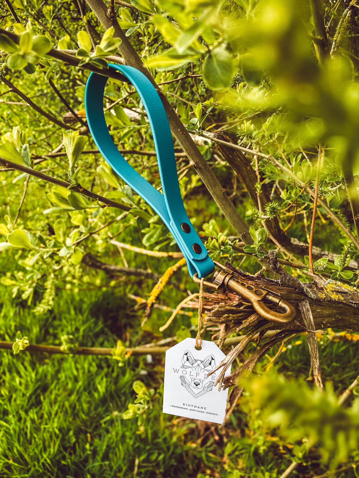 BioThane Accessories