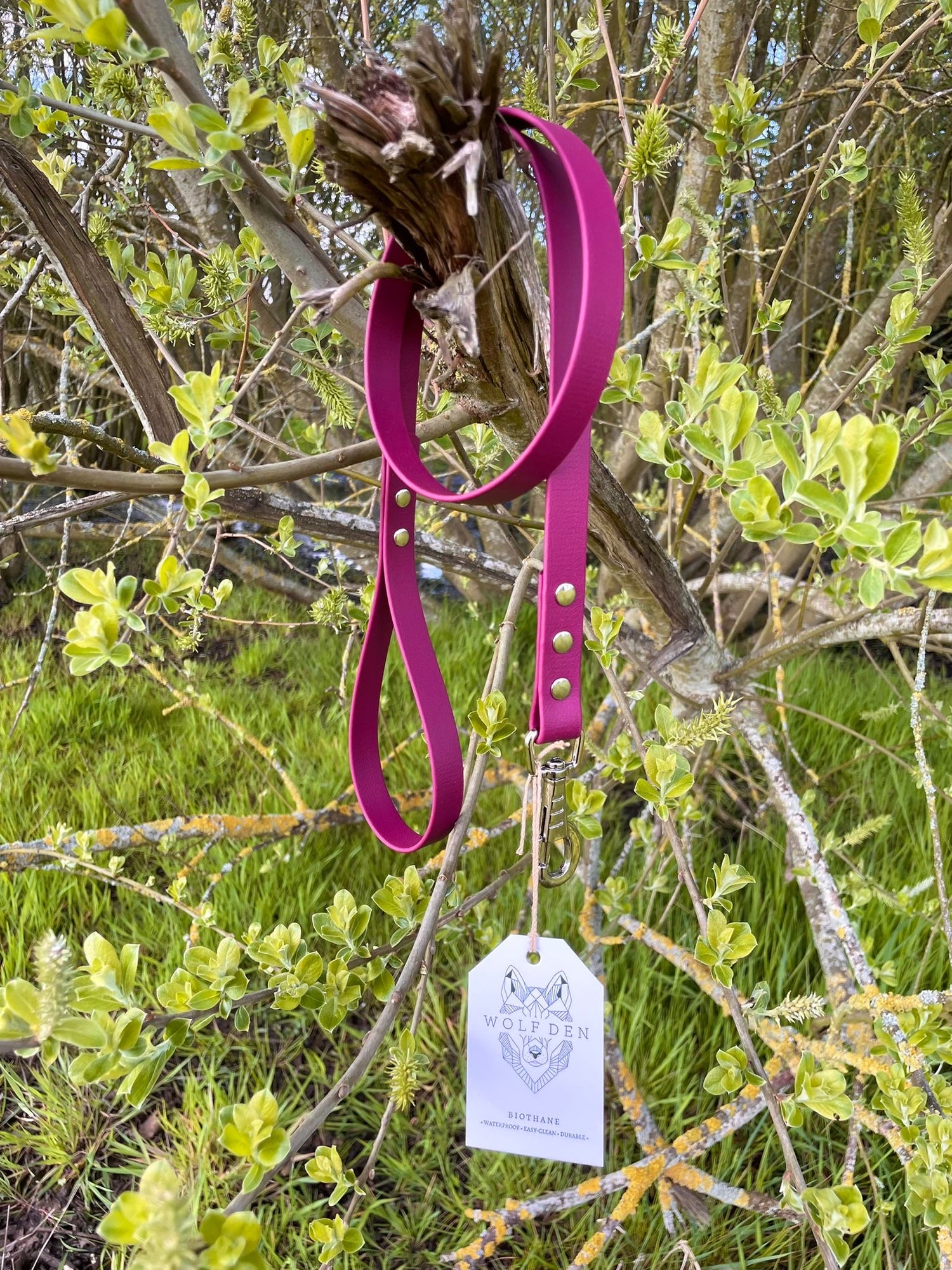 BioThane Dog Leads