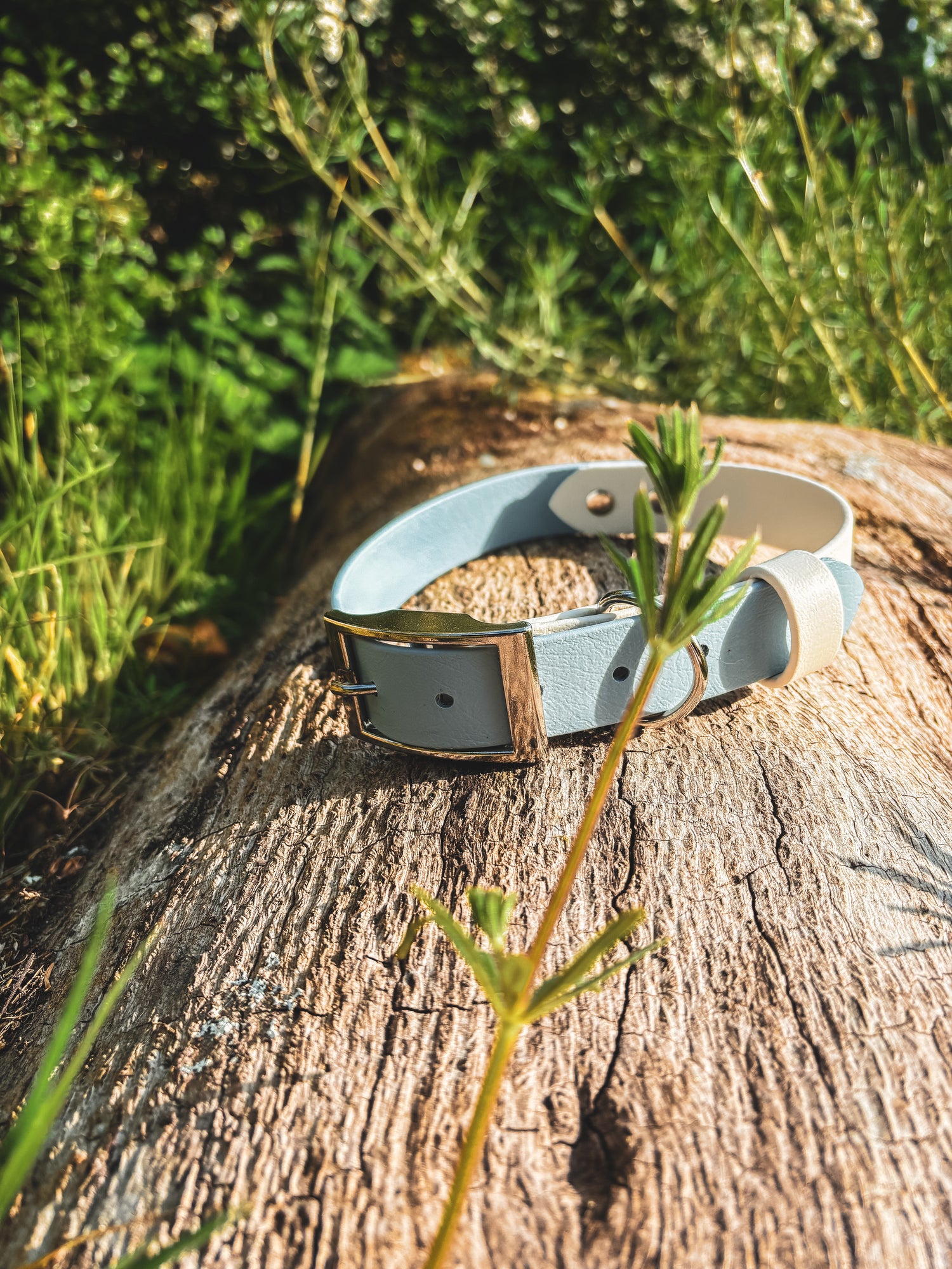 BioThane Dog Collars