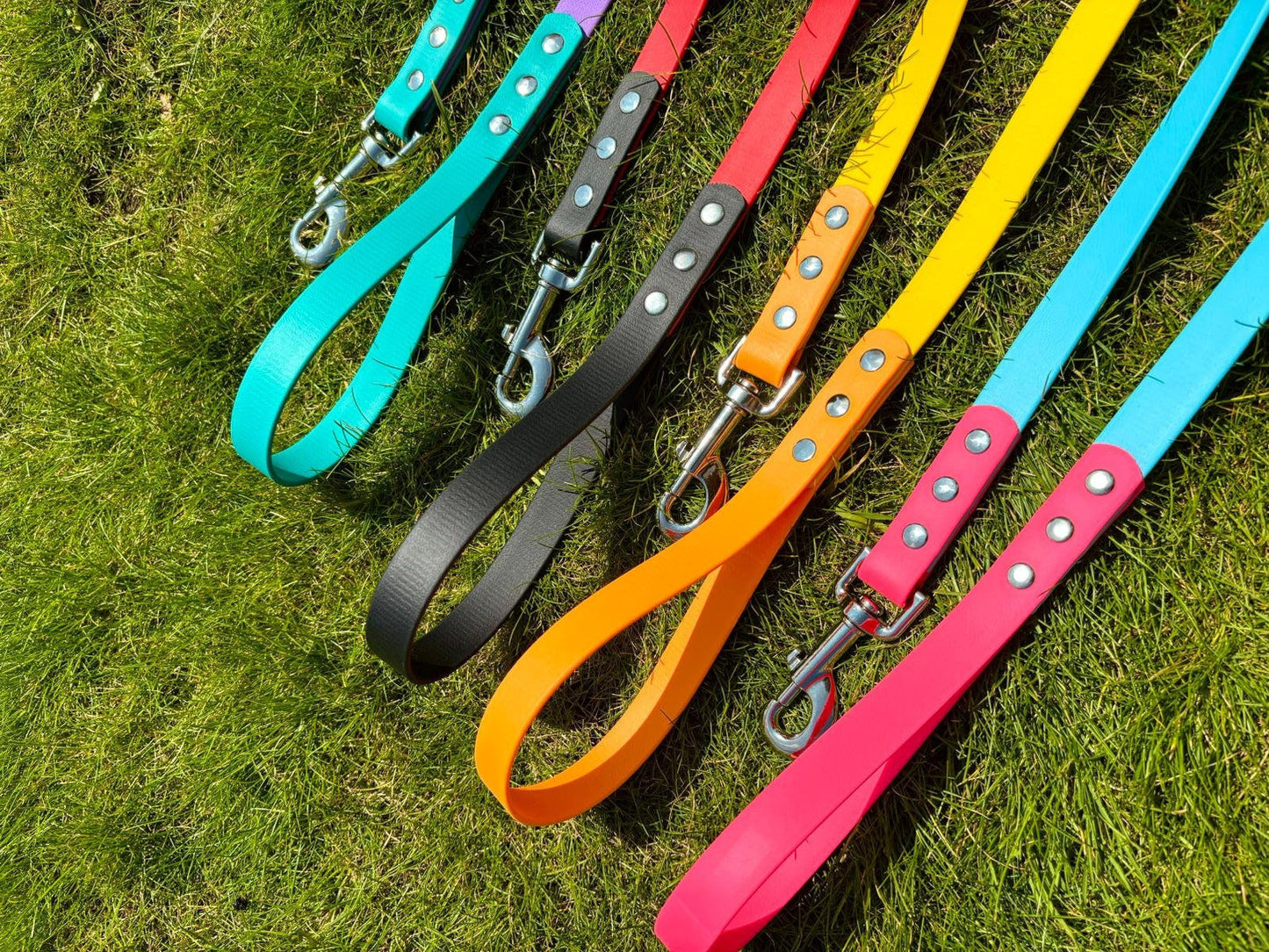 BioThane Two Tone Lead