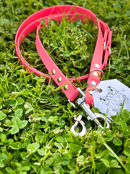 Double Ended BioThane Training Lead