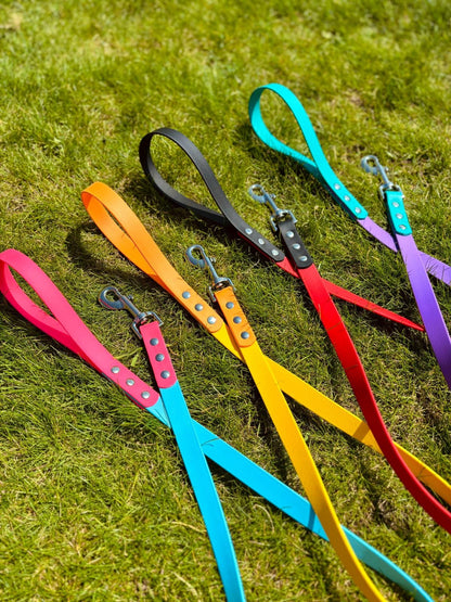 BioThane Two Tone Lead