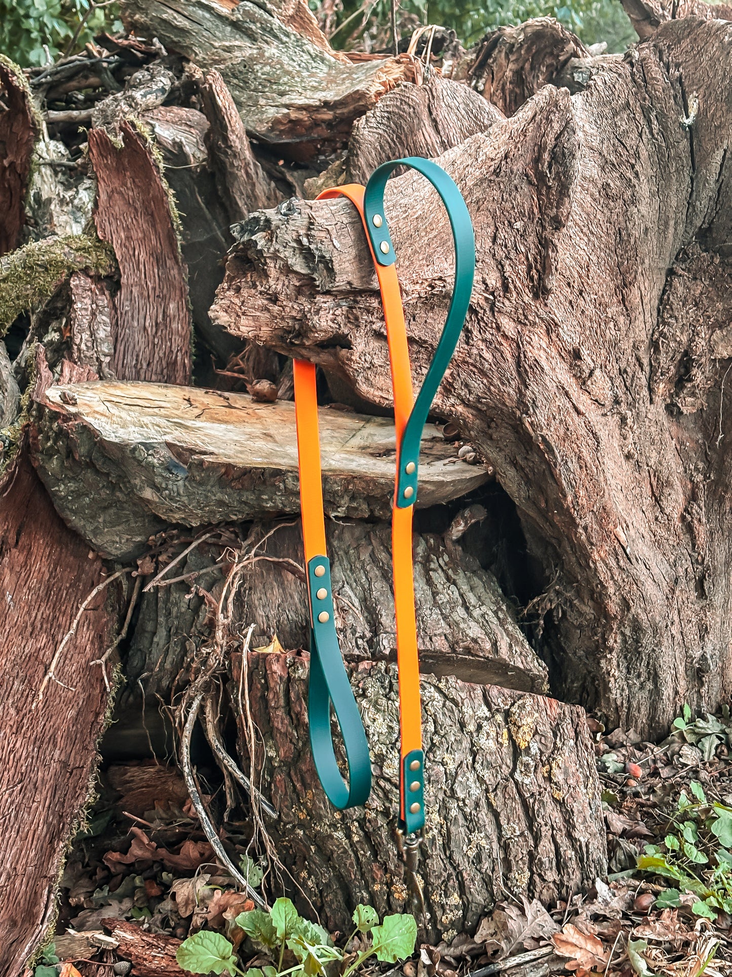 BioThane Double Handed Lead