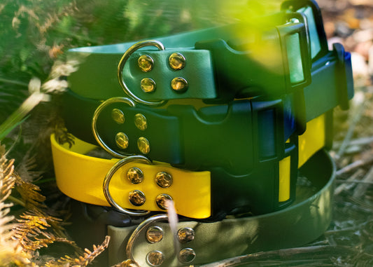 BioThane Adjustable Collar