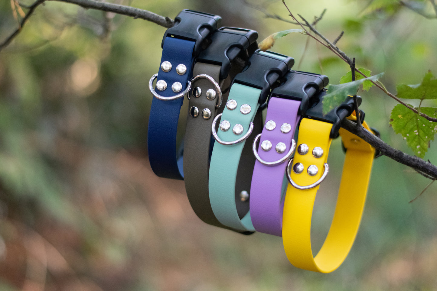 BioThane Adjustable Collar