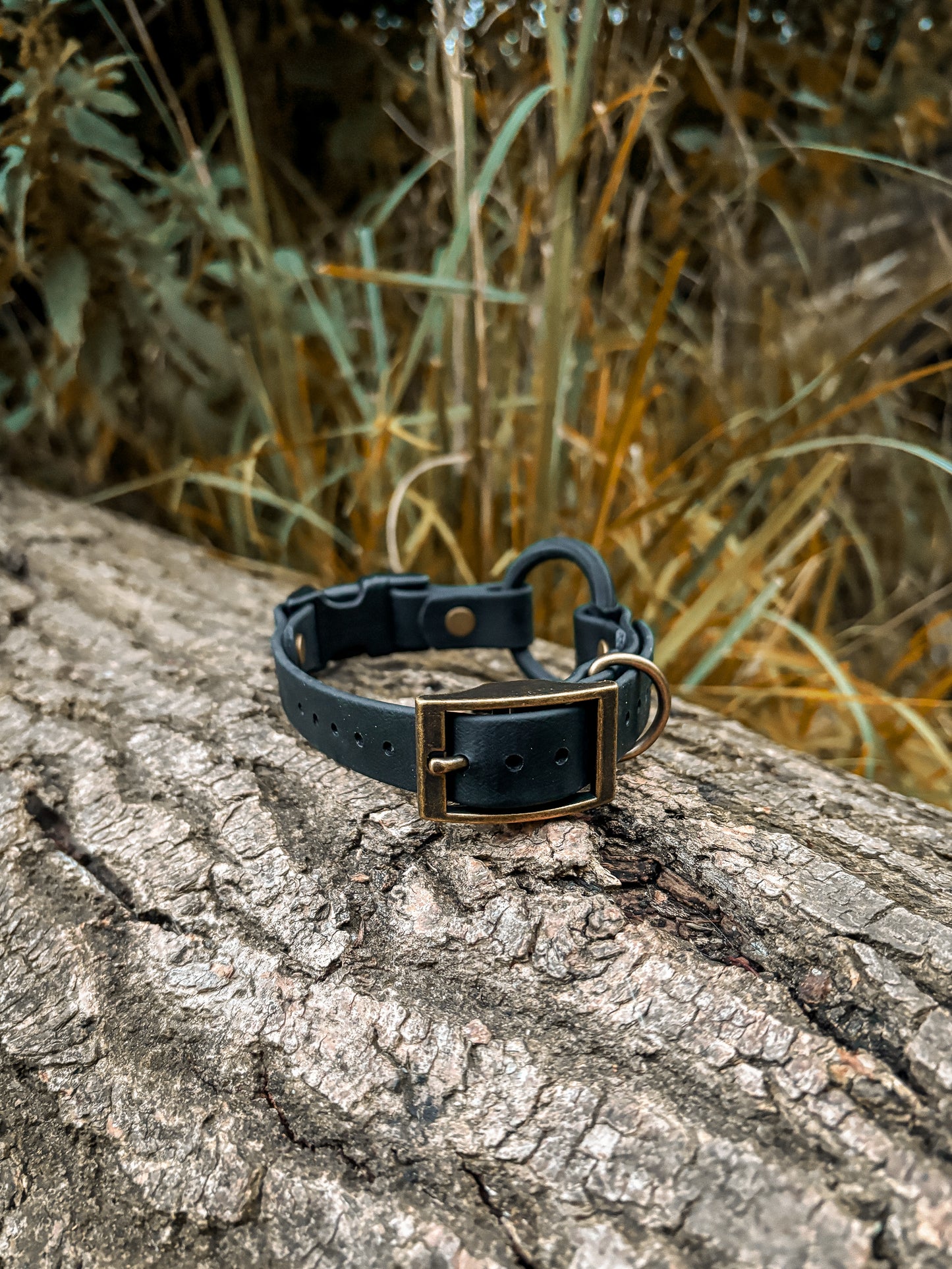 BioThane Bungee Collar