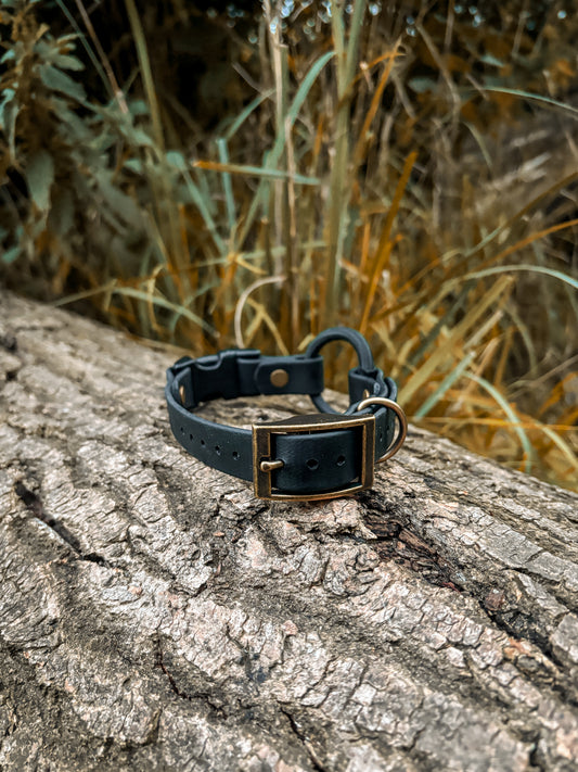 BioThane Bungee Collar