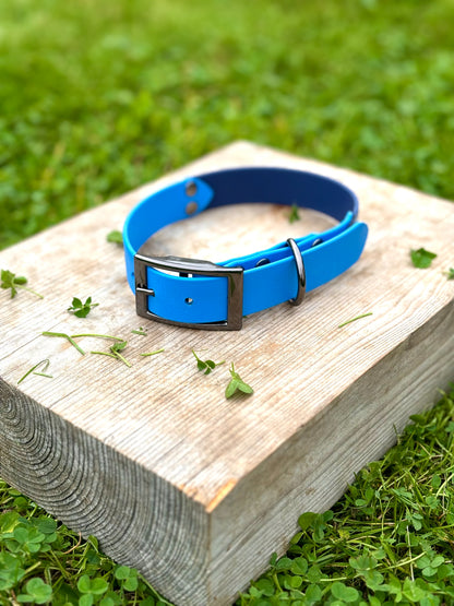 BioThane Belt Buckle Collar