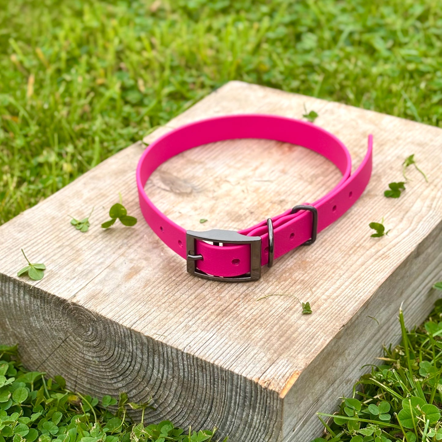 BioThane Belt Buckle Collar