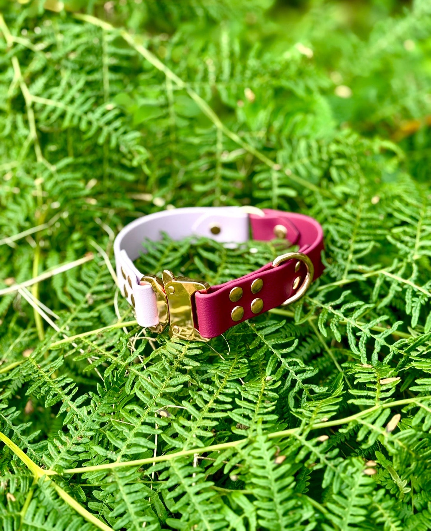BioThane Two Tone Collar