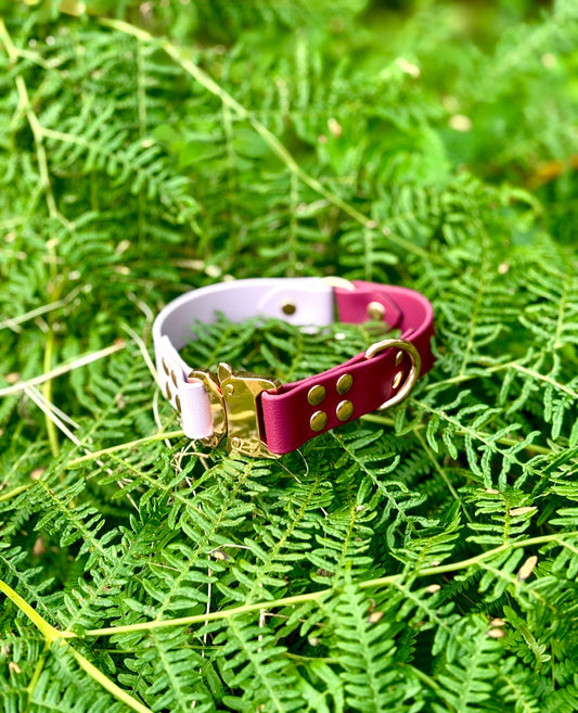 BioThane Two Tone Collar
