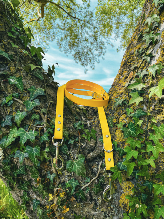 Double Ended BioThane Training Lead