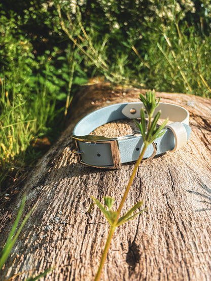 BioThane Belt Buckle Two-Tone Collar