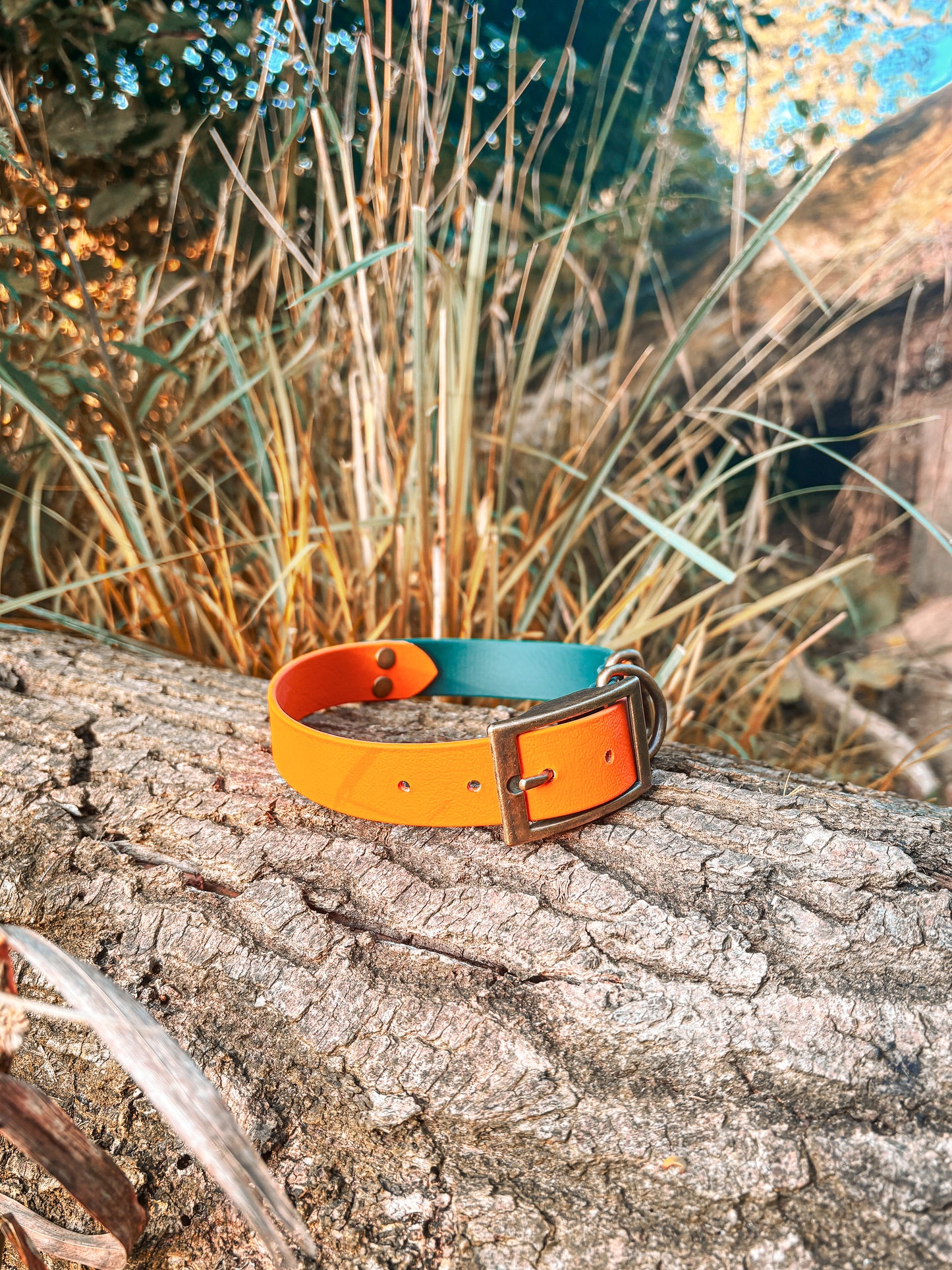 BioThane Belt Buckle Two-Tone Collar