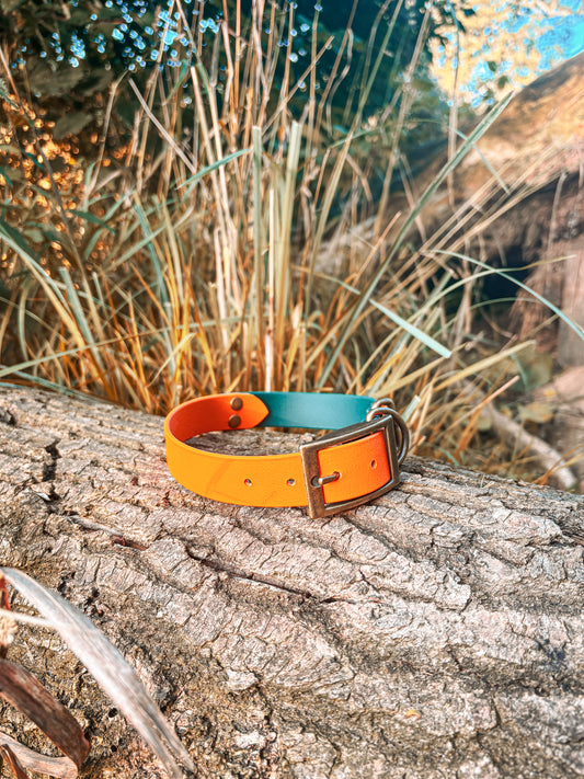 BioThane Belt Buckle Two-Tone Collar