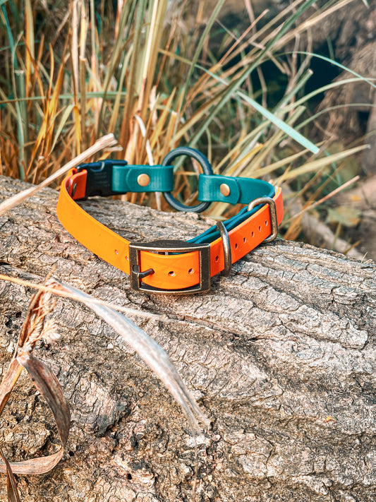 BioThane Two Tone Bungee Collar