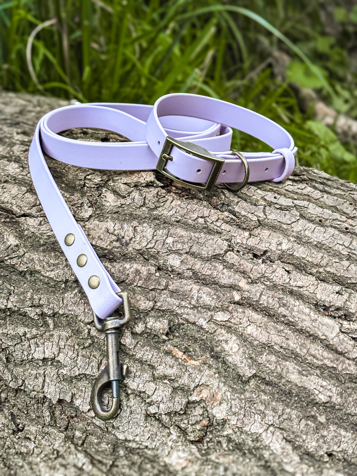 BioThane Belt Buckle Collar