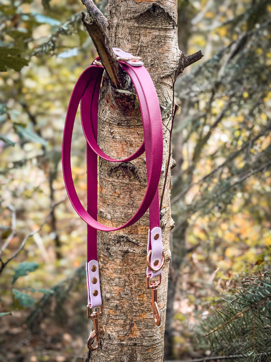 BioThane Two Tone Double Ended Training Lead