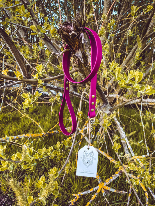 Standard BioThane Dog Lead