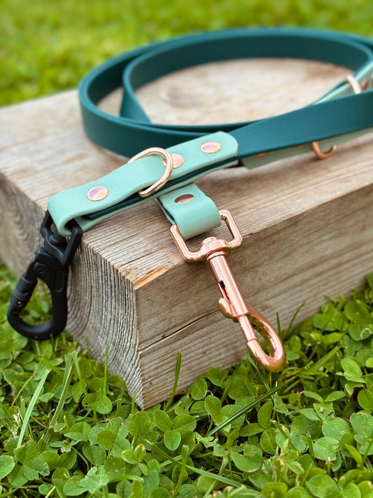 BioThane Two Tone Double Ended Training Lead