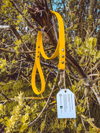 Standard BioThane Dog Lead