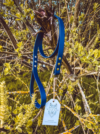 Standard BioThane Dog Lead